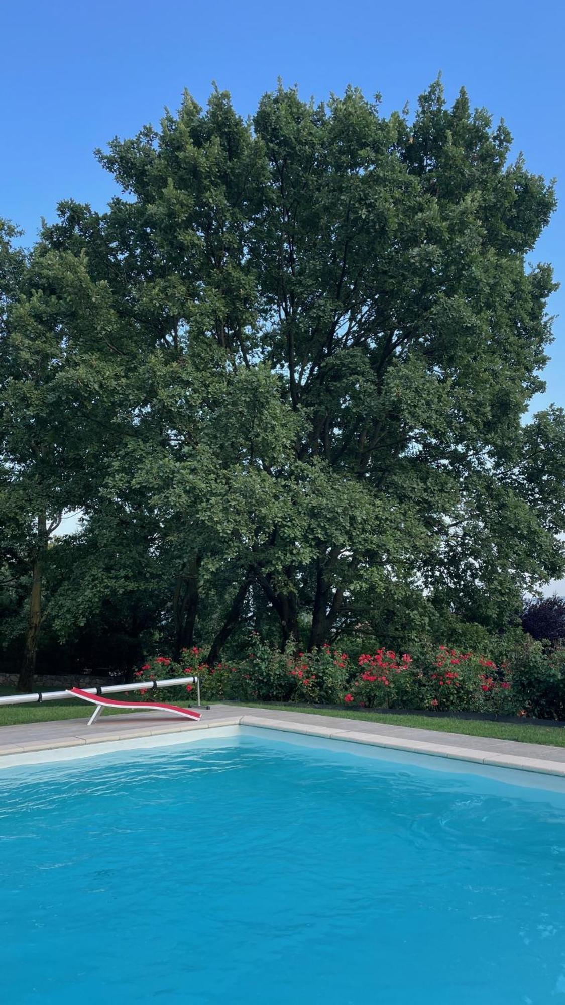 Myvilla Suites Palazzo Canavese Εξωτερικό φωτογραφία